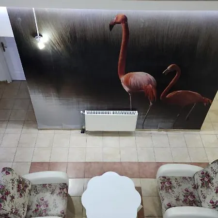 Hotel Zeytin *